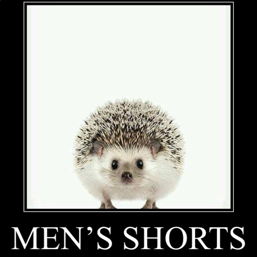 Men’s shorts
